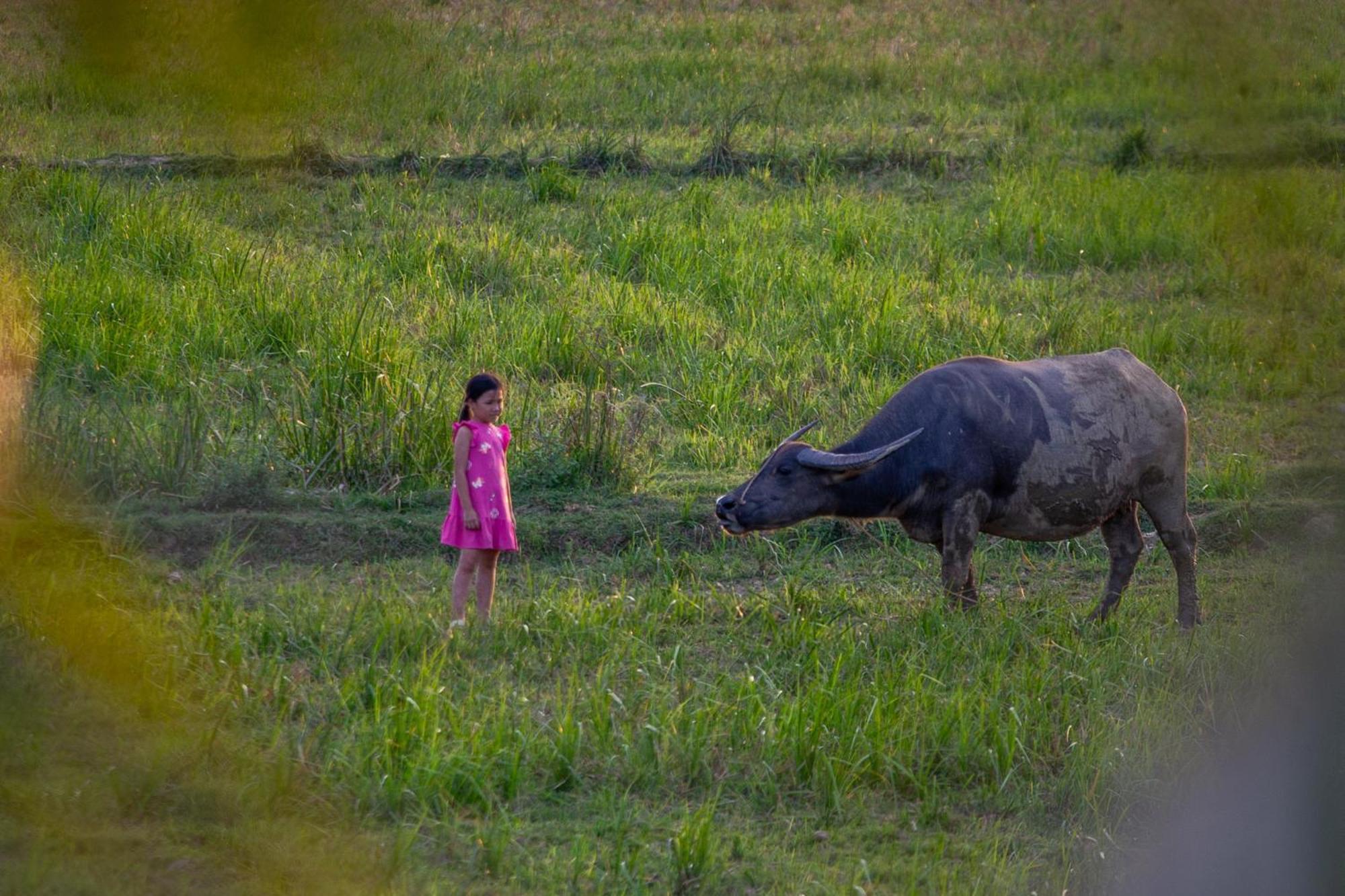 Phong Nha Farmstay Eksteriør billede