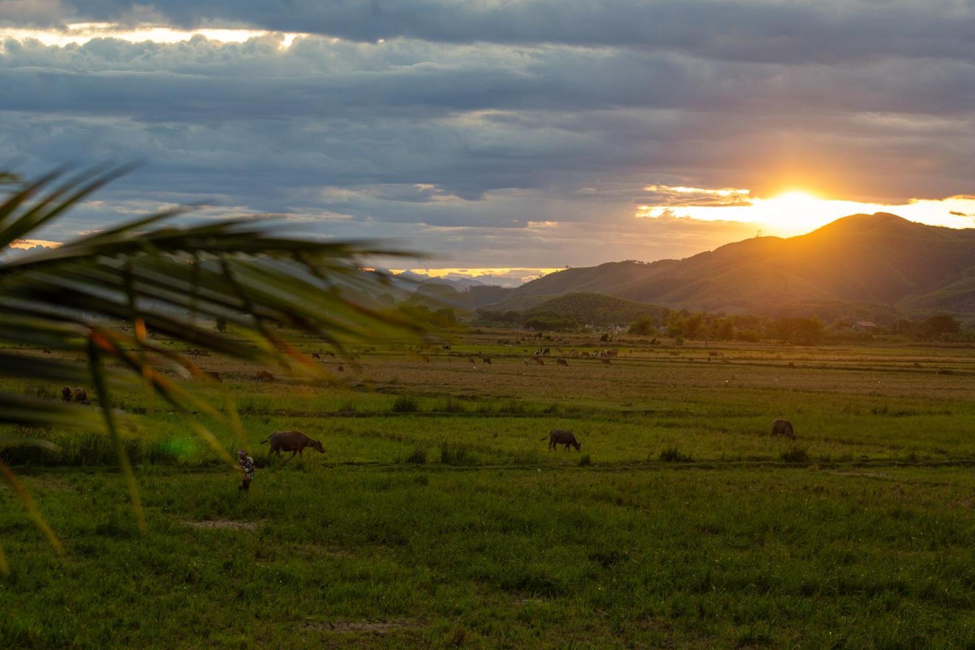 Phong Nha Farmstay Eksteriør billede